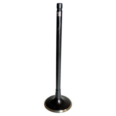 Std. Intake Valve for 2007-2017 Jeep MK Compass, Patriot w/ 2.0L, 2.4L Engines Crown Automotive