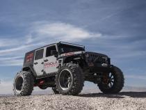 Bogger 19.5/44-24 Offroad Tire Interco Tire